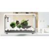 amazonas aquarium e 25 fische