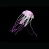 aquarium quallen kaufen pink