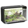 kleines aquarium kaufen biotop schweiz 19A011