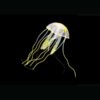 quallen aquarium kaufen schweiz