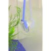 snail catcher aquarium schneckenfaenger dennerle