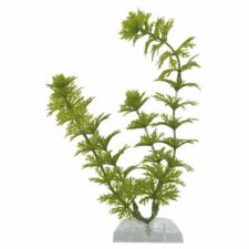 wasserpflanzen tetra deco art plantastics ambuli