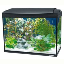 aquarium set komplett kaufen online 206455 1