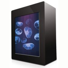 kleines quallen aquarium 10l schweiz 206469