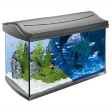 tetra aquaart led aquarium 60l
